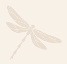 Libelle1